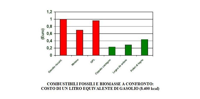 biomasse6.jpg